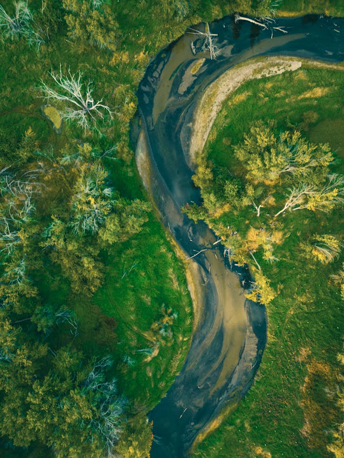 ours-journey A stunning aerial view showcasing a meandering river flowing through lush greenery in Minnesota.