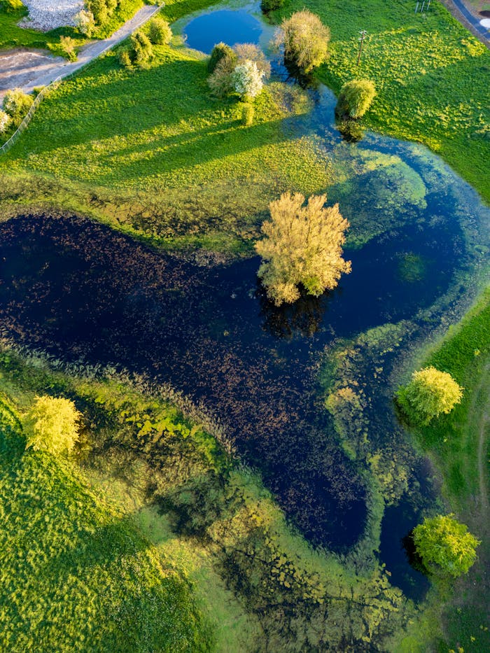 Stunning aerial photo showcasing a heart-shaped lake surrounded by lush greenery in spring.